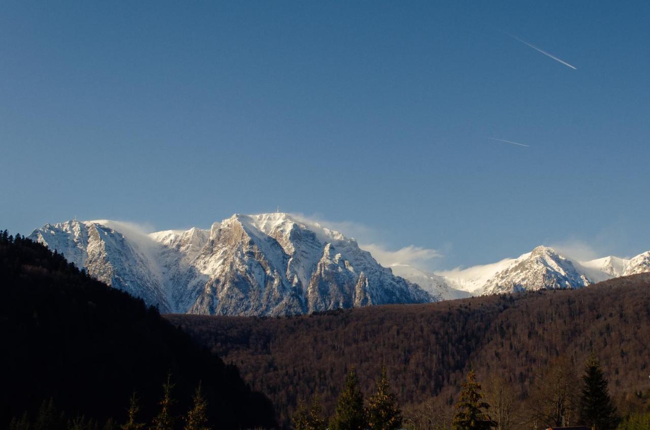 Skyline Villa Азуга Экстерьер фото